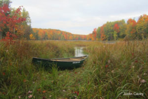 carbon kevlar canoe