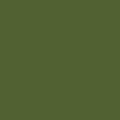 Canoe-Olive Color