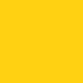 Canoe-Yellow Color