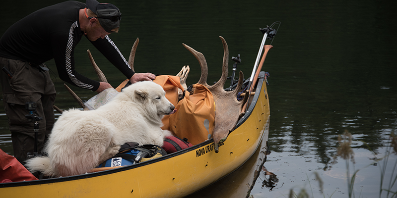Canoe filled with cargo and dog